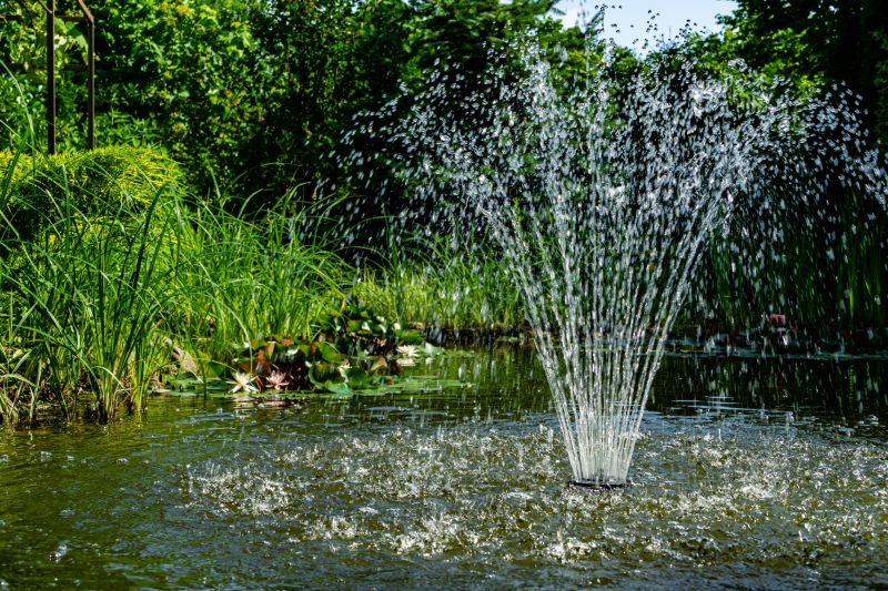 Water Feature Repair Promotions