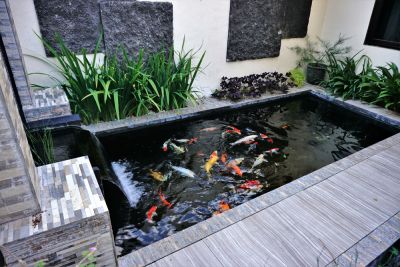 Improve the Function of Your Water Feature with Repair Services!