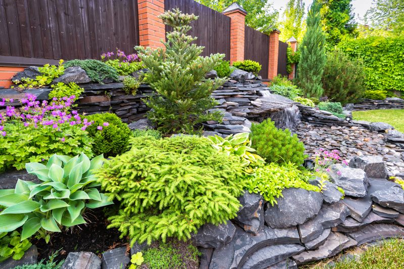 Pathway Landscaping in Honolulu, HI